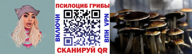 Галлюциногенные грибы MAGIC MUSHROOMS  купить наркотик  Онега 