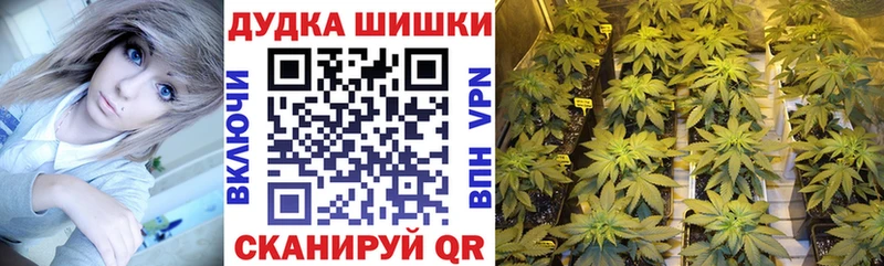 Канабис сатива  магазин  наркотиков  Онега 